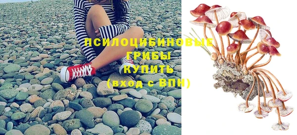 стафф Абинск