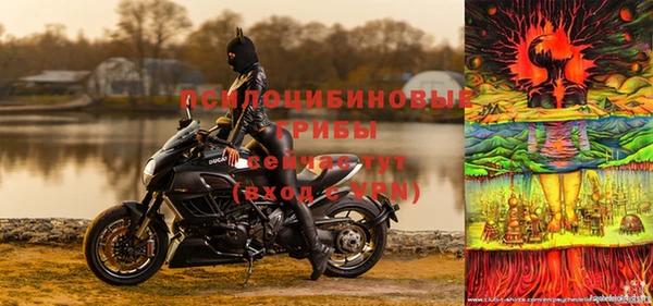 стафф Абинск