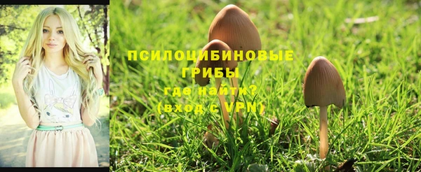 кристаллы Абдулино