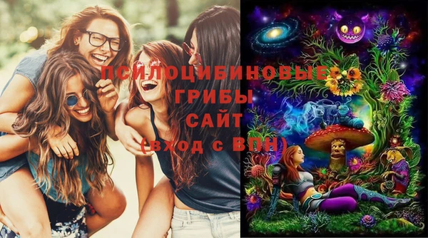 стаф Алексеевка