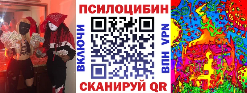 где купить   Черемхово  Галлюциногенные грибы Psilocybine cubensis 